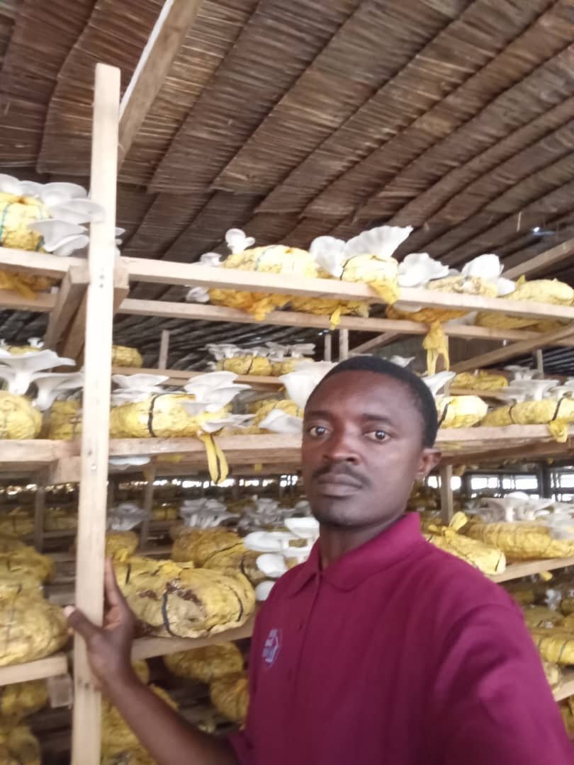 Walter Daki homme des champignons Global Agrie